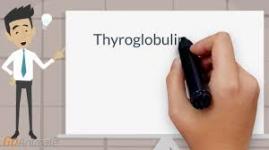 Papiller tiroid kanserlerin ameliyat sonrası takibi