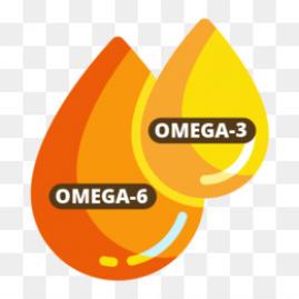 Omega 6 / Omega 3 oranının bozulması kilo aldırıyor
